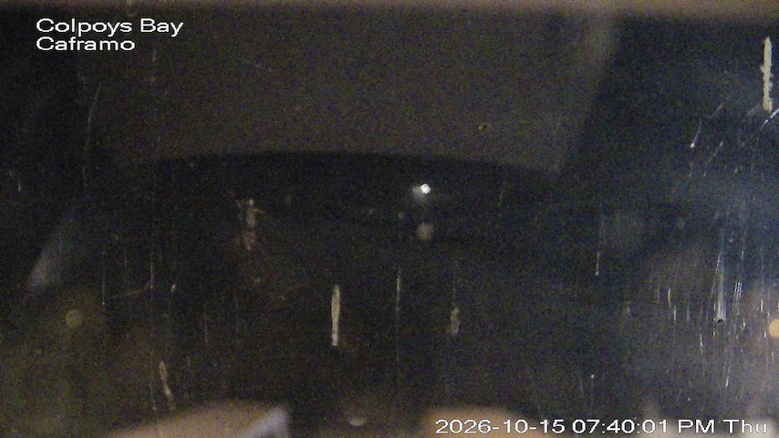 Live camera feed from Caframo in Georgian Bluffs, Ontario, Canada