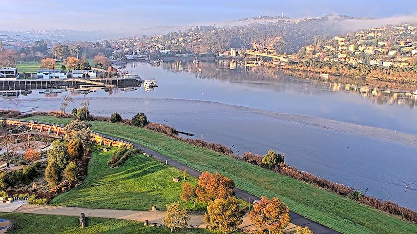 Live camera feed from Tamar Estuary in Launceston, Tasmania