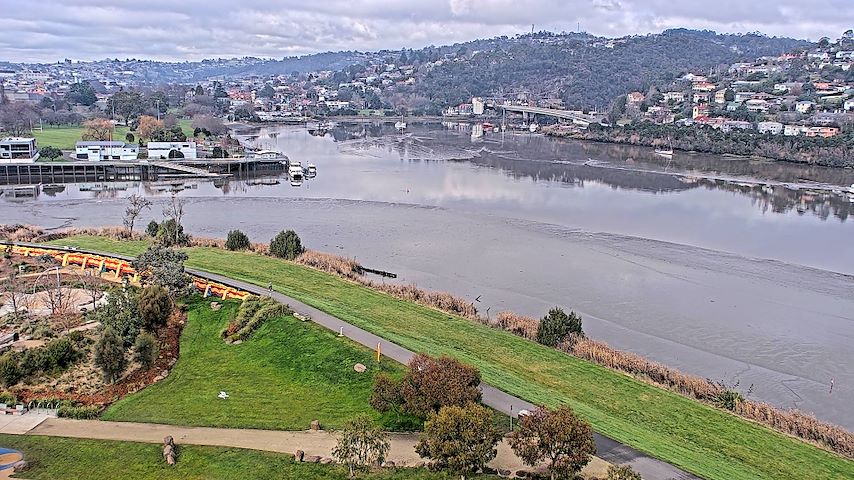 Élő kameracsatorna Tamar Estuary-ból Launceston, Tasmania-ben