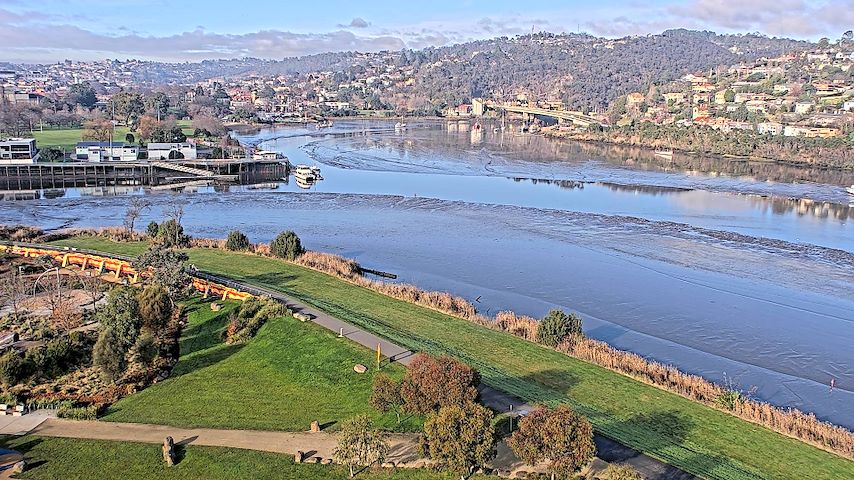 بث كاميرا مباشر من Tamar Estuary في Launceston, Tasmania