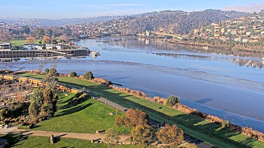 Tamar Estuary からのライブカメラチャンネル（Launceston, Tasmania）