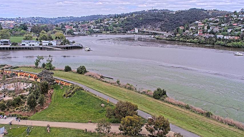 Прямий ефір з камери від Tamar Estuary у Launceston, Tasmania